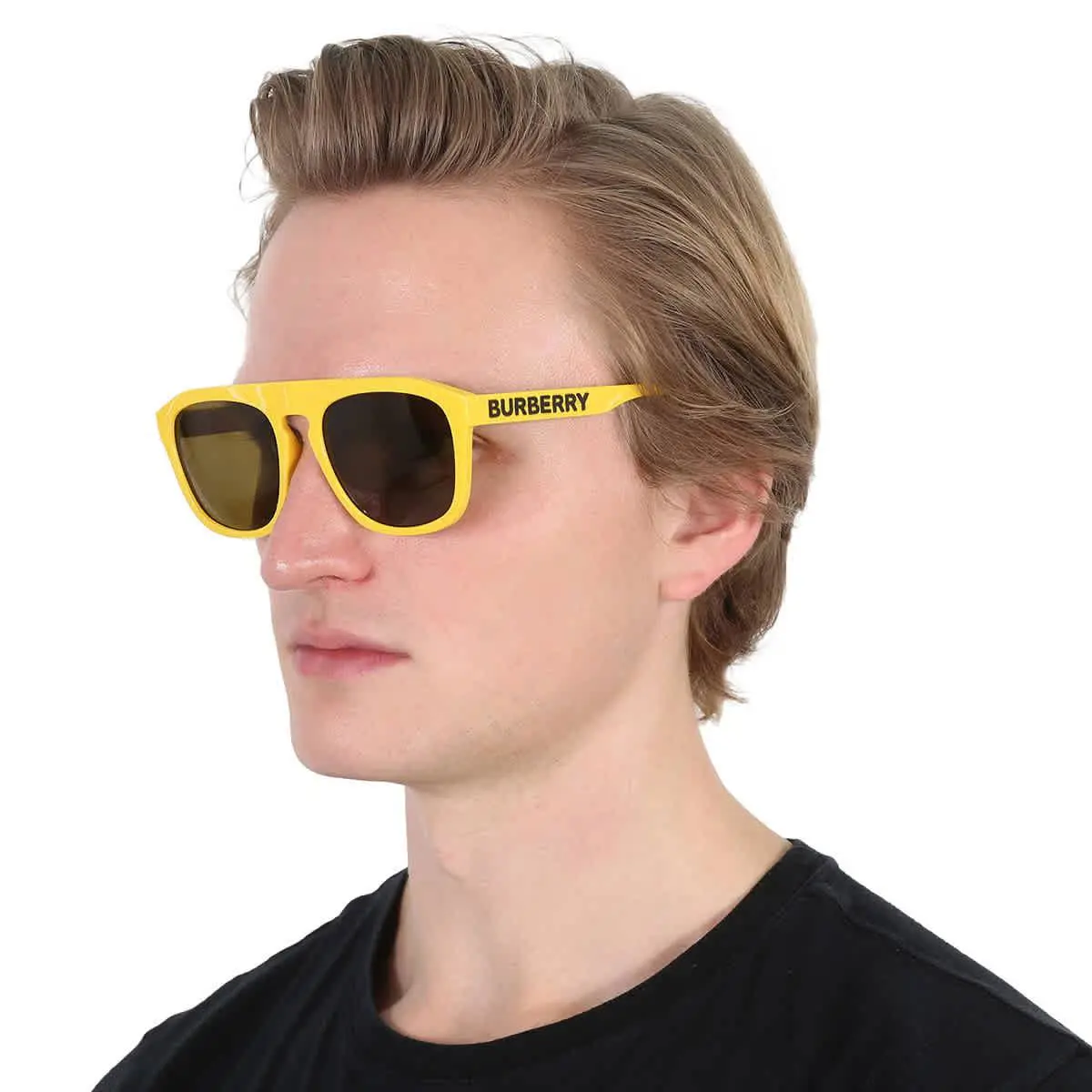 Burberry Wren Brown Browline Men`s Sunglasses BE4396U 407073 57 BE4396U 407073