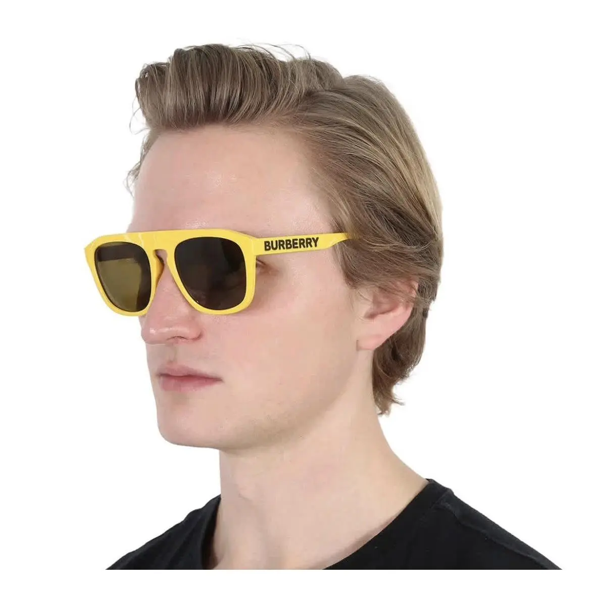 Burberry Wren Brown Browline Men`s Sunglasses BE4396U 407073 57 BE4396U 407073