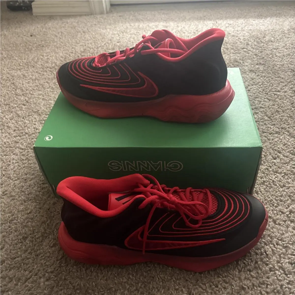 Size 10 - Nike Giannis Immortality 4 Bred FQ3680-004