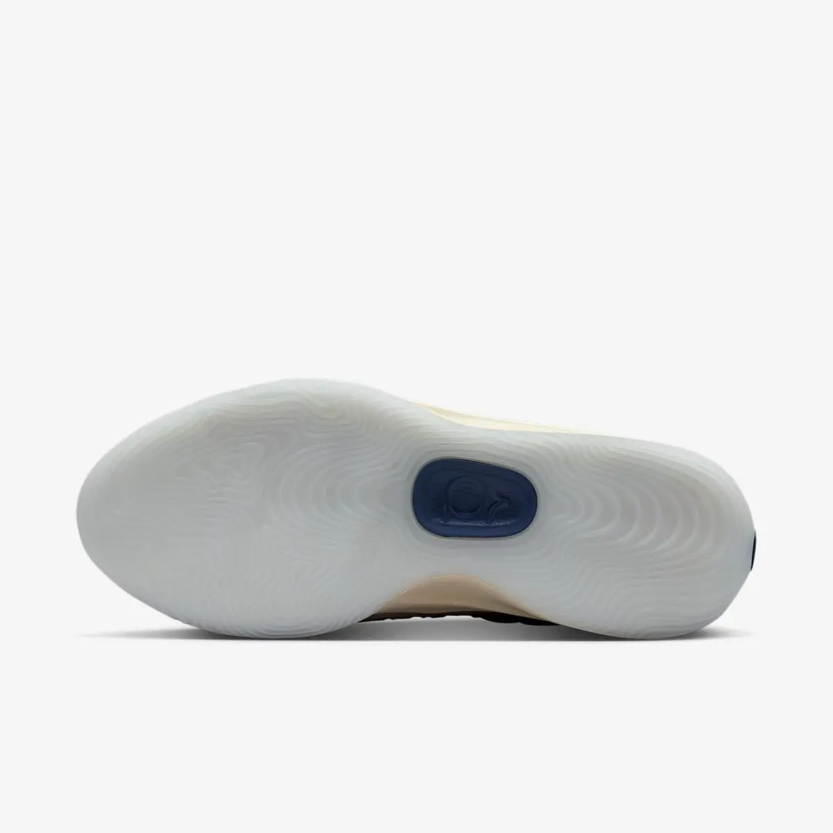 Nike shoes - Royal Pulse/Football Grey/Coconut Milk/Sail (UPC: 198486097727) 0
