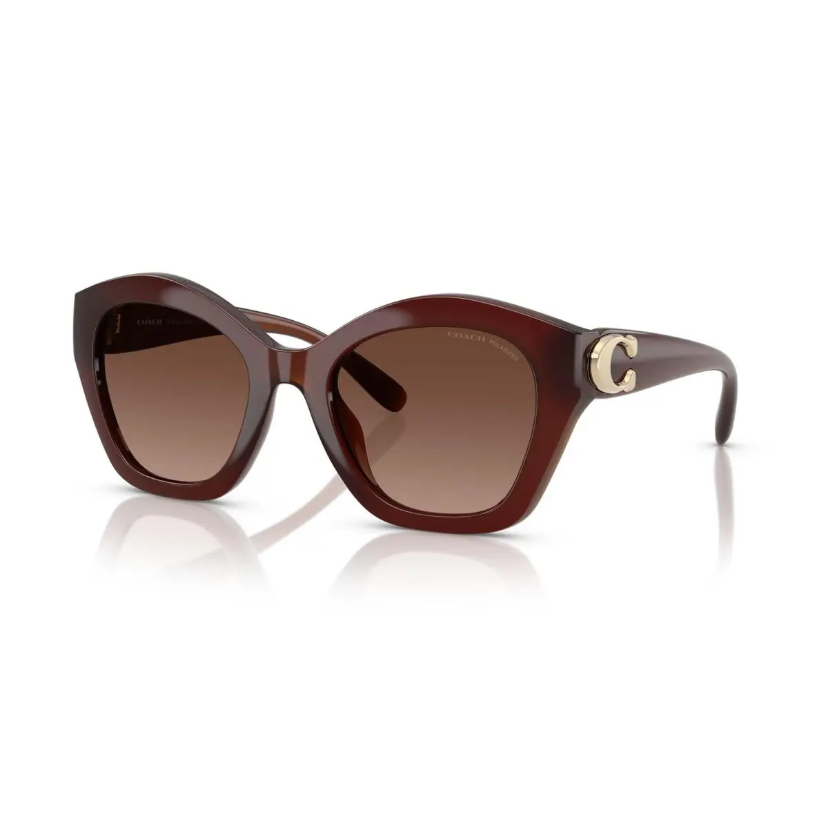 8421U Cad32 Sunglasses 5841T5 Brown by Coach