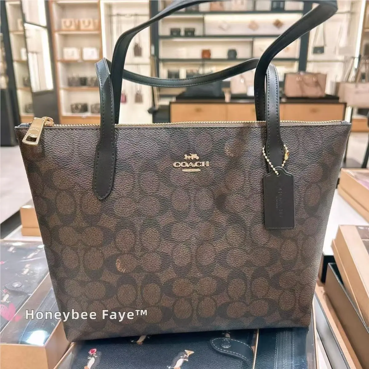 Coach Fiona Zip Tote Bag In Signature Canvas CBT18