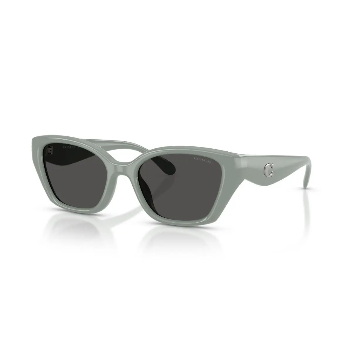 Coach 8434U Cby91 Sunglasses 592487 Grey