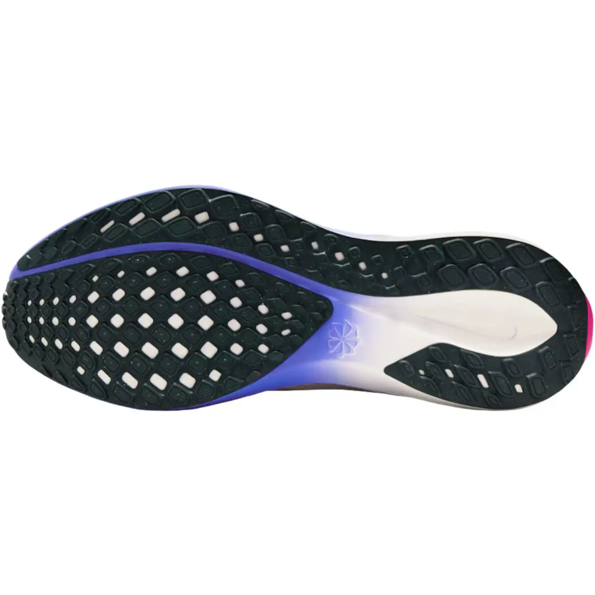 Nike shoes - Nike Pegasus 41 - Pegasus - In Stock 22