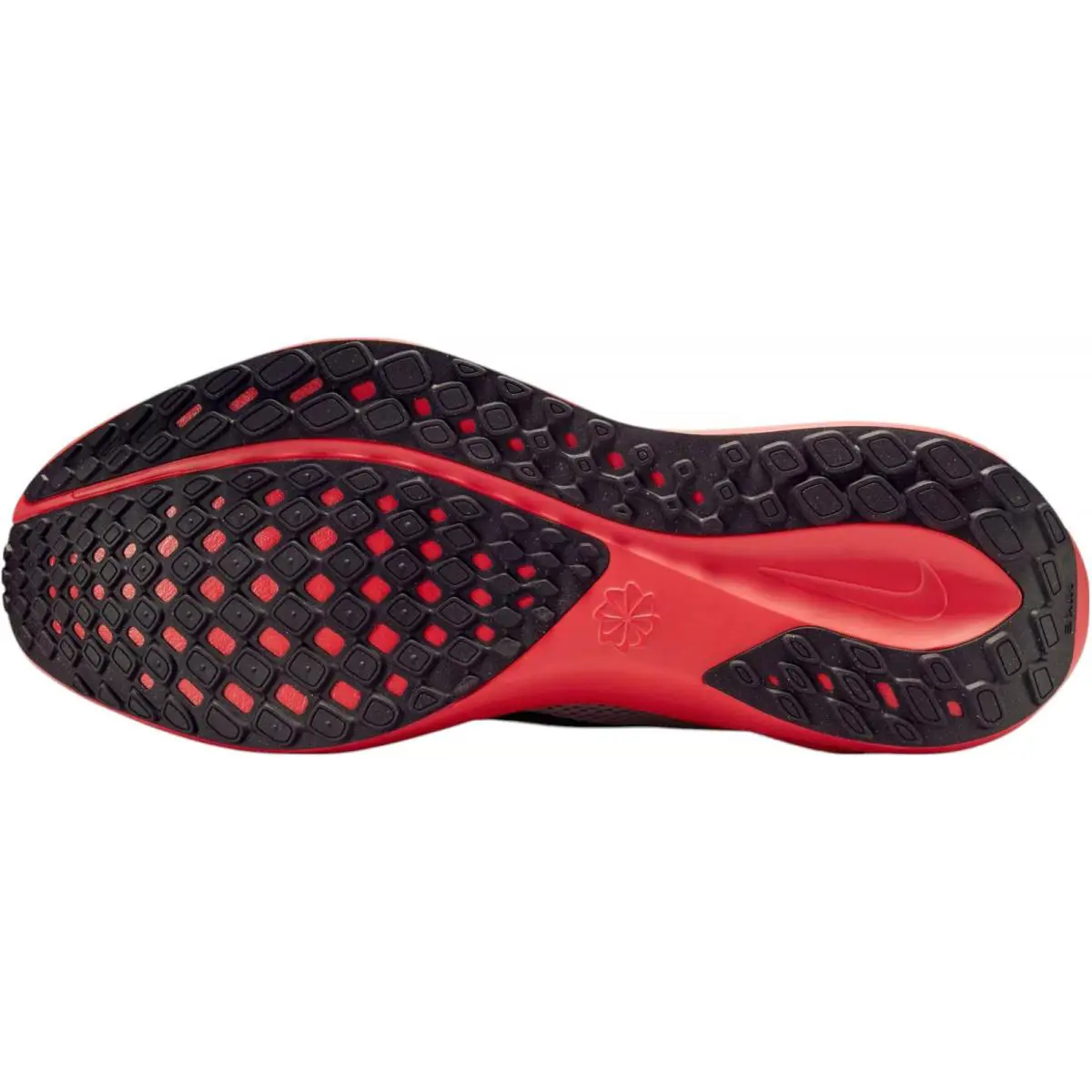 Nike shoes - Nike Pegasus 41 - Pegasus - In Stock 32