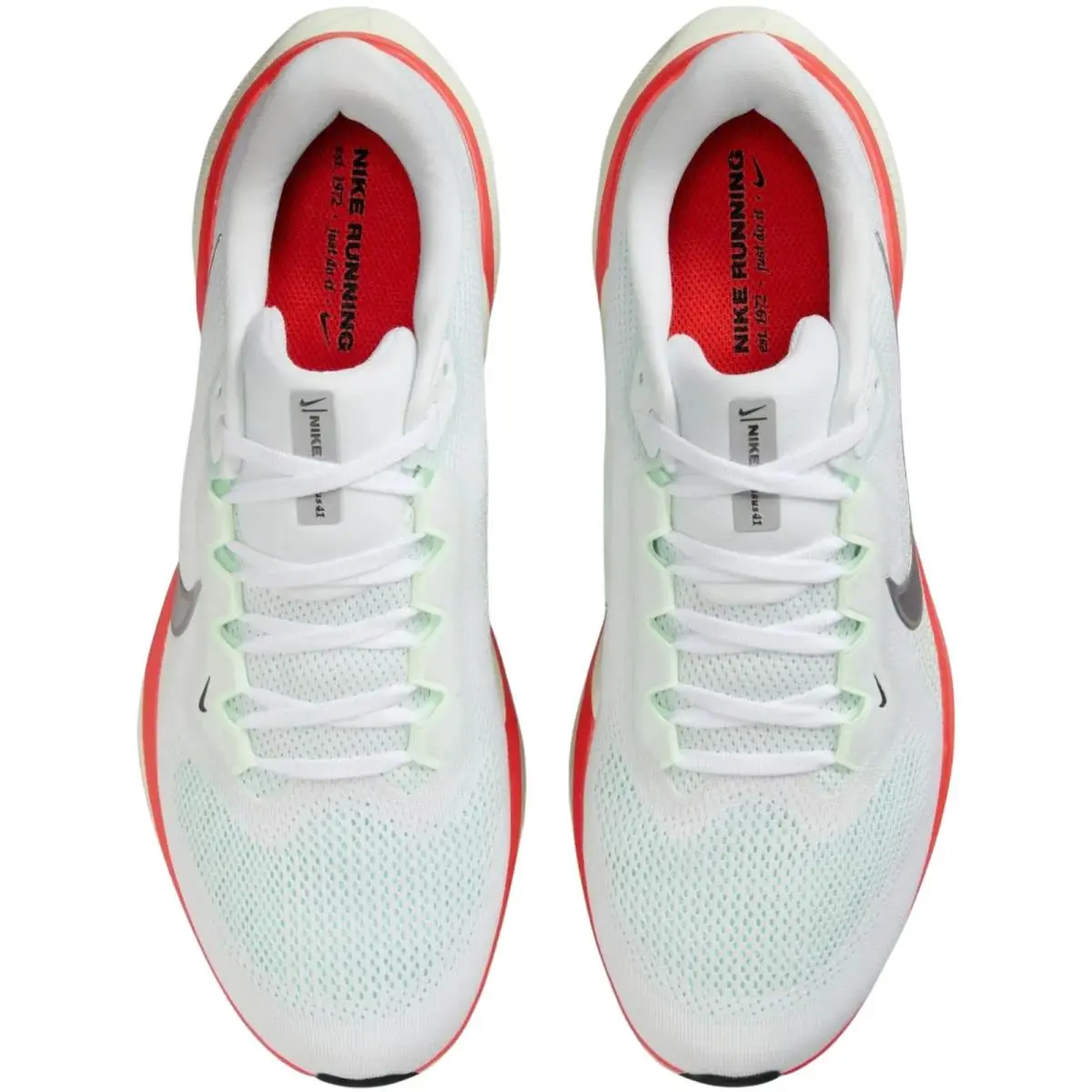 Nike shoes - Nike Pegasus 41 - Pegasus - Medium Ash/Pure Platinum/Pale Ivory/Black 12