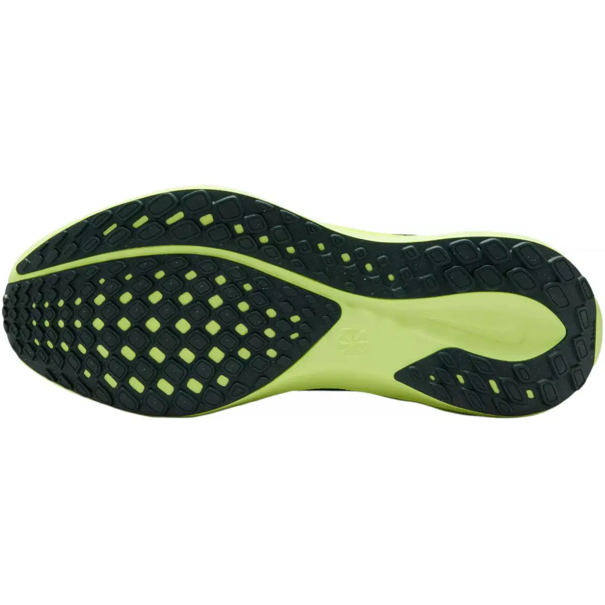 Nike shoes - Nike Pegasus 41 - Pegasus - In Stock 42