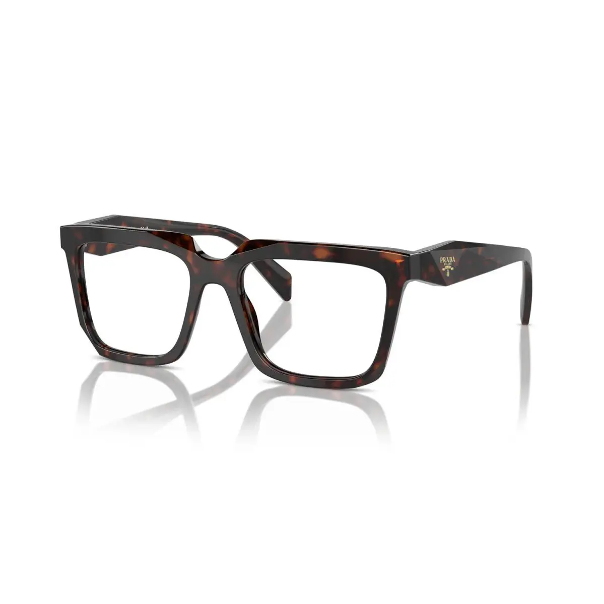 Prada PR A19V Root Tortoise 17N1O1 Eyeglasses