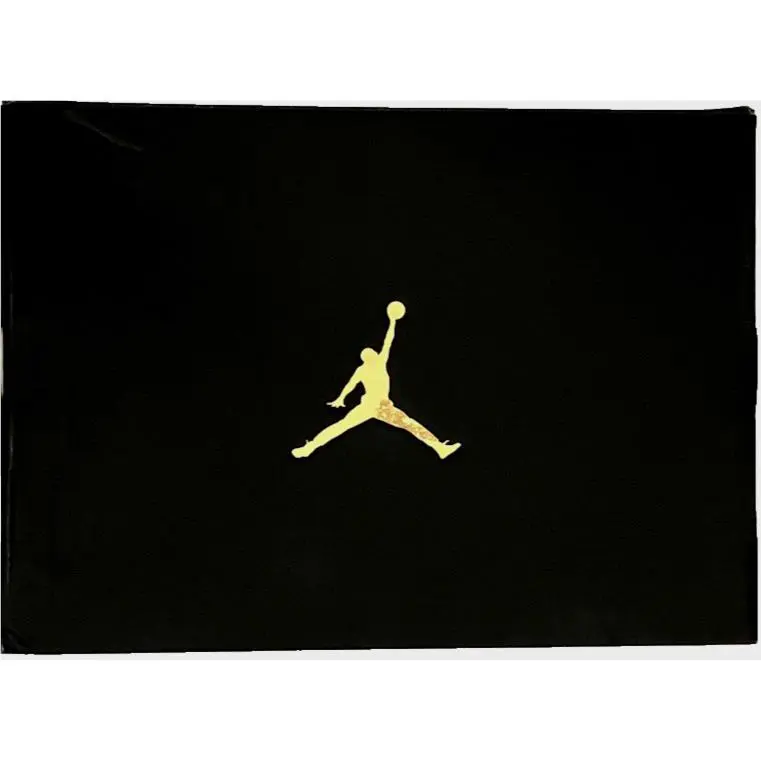 Nike shoes - Jordan CP3.XI - AA1272 014 - Lt Smoke Gray / Metallic Silver (UPC: 826218769504) 13