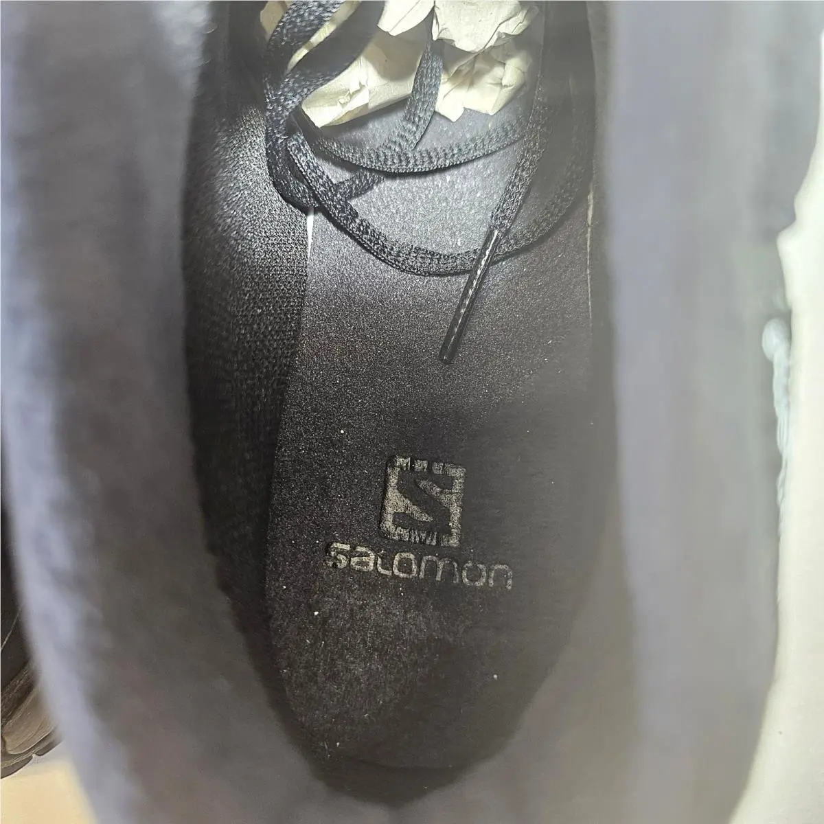 Salomon shoes - Shelter CS - Shelter - Black /Ebony/Black 10