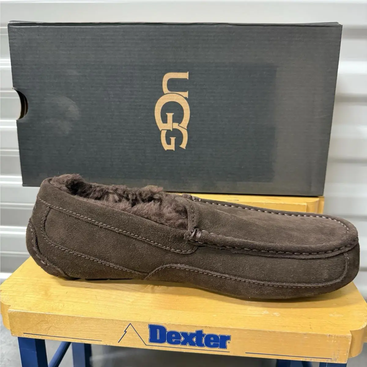 UGG shoes - UGG ASCOT DUSTED - ASCOT DUSTED - DUSTED COCOA 2