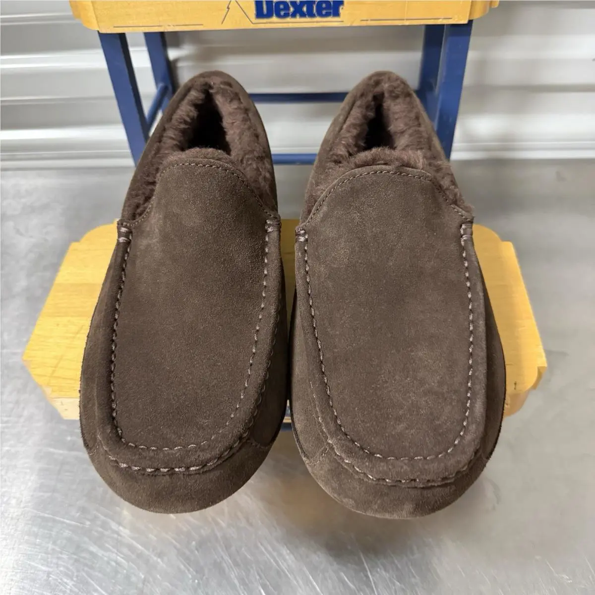 UGG shoes - UGG ASCOT DUSTED - ASCOT DUSTED - DUSTED COCOA 5