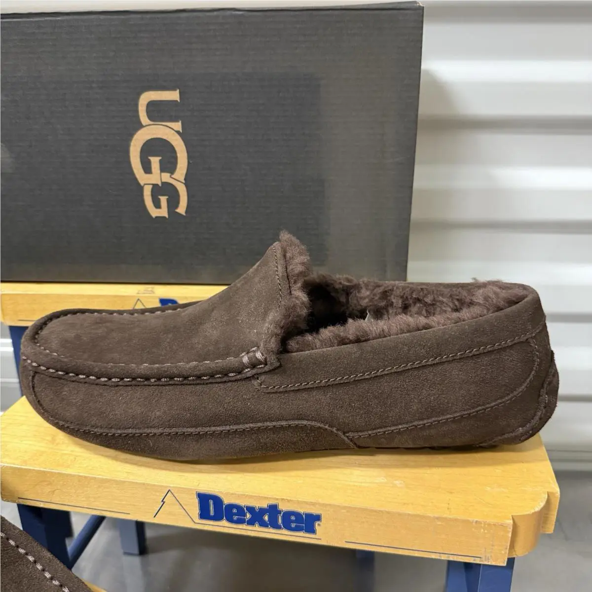 UGG shoes - UGG ASCOT DUSTED - ASCOT DUSTED - DUSTED COCOA 1