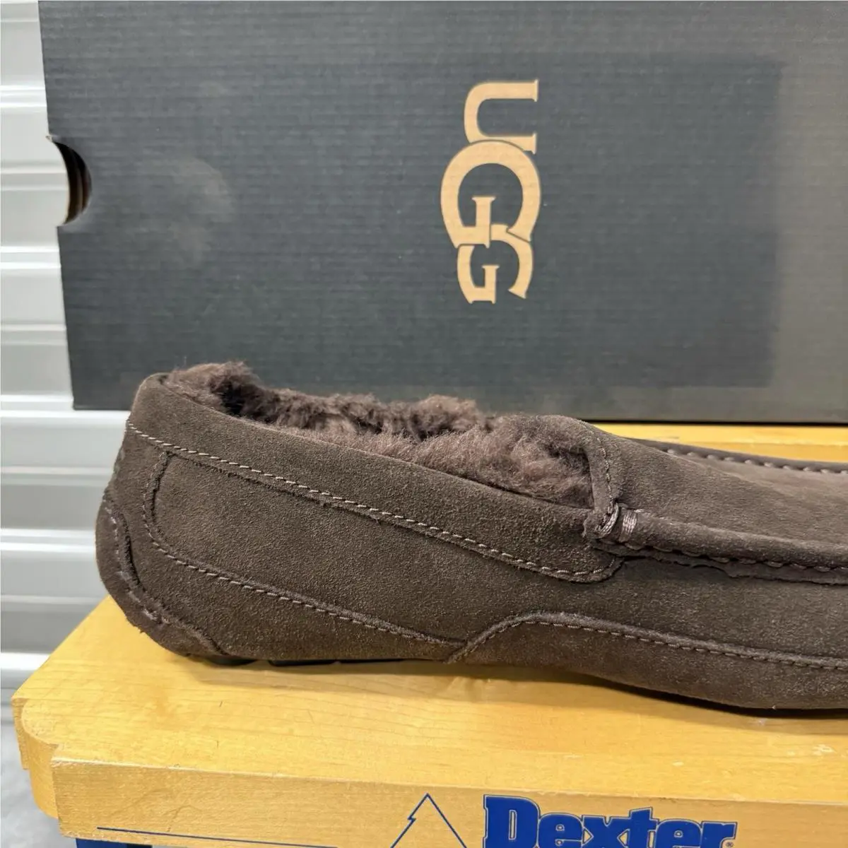 UGG shoes - UGG ASCOT DUSTED - ASCOT DUSTED - DUSTED COCOA 3