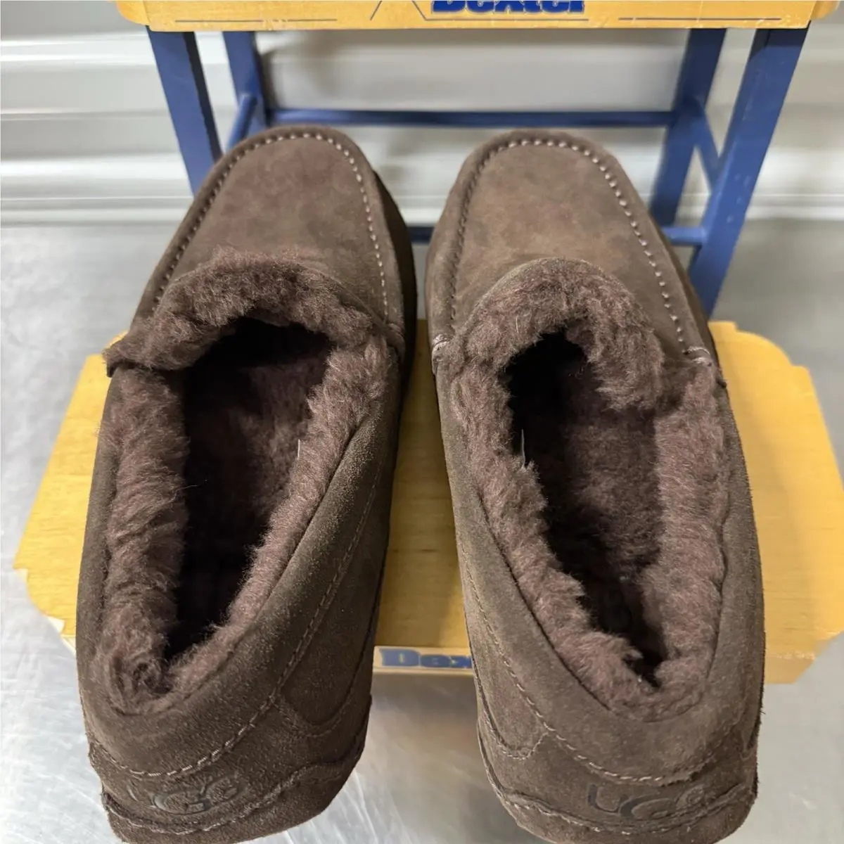 UGG shoes - UGG ASCOT DUSTED - ASCOT DUSTED - DUSTED COCOA 7