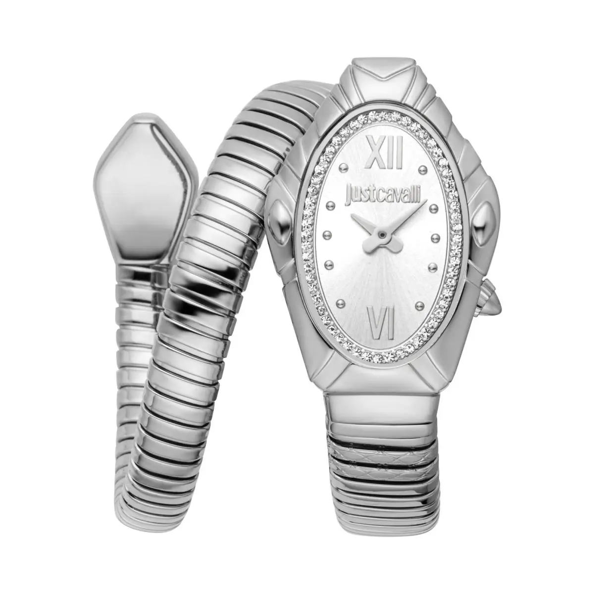 Just Cavalli Women`s Lirica 25mm Silver Quartz Watch JC1L357M0015