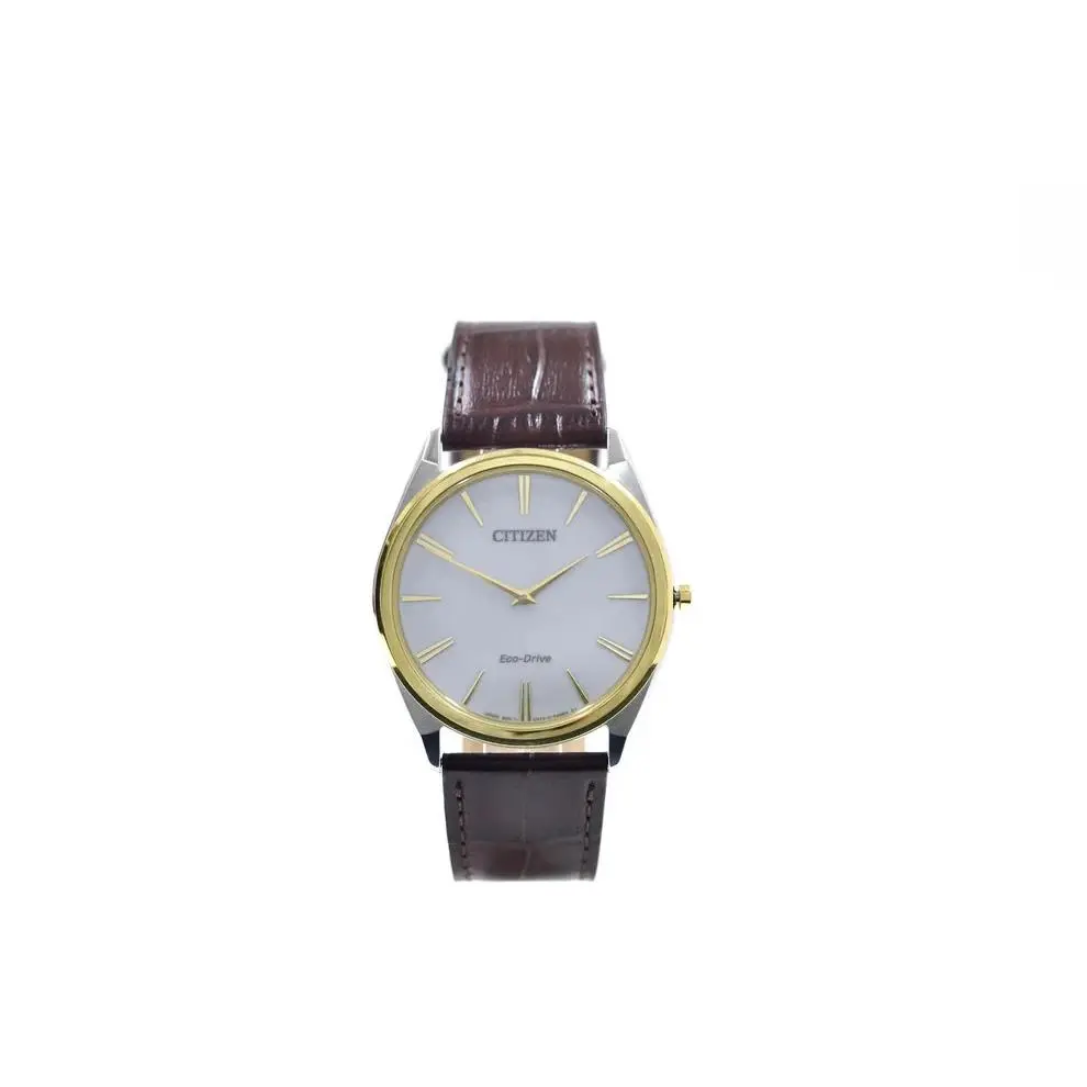 Citizen Stiletto AR3074-03A Eco-drive Analog Men`s Watch - Brown