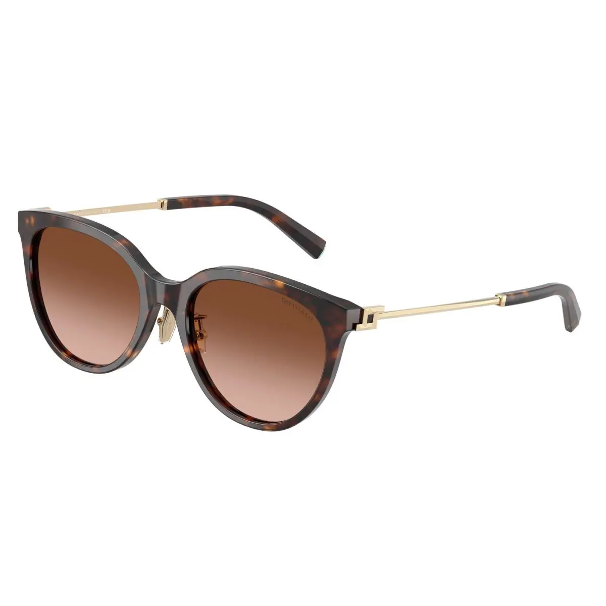 Tiffany 4243D Sunglasses 80153B Tortoise