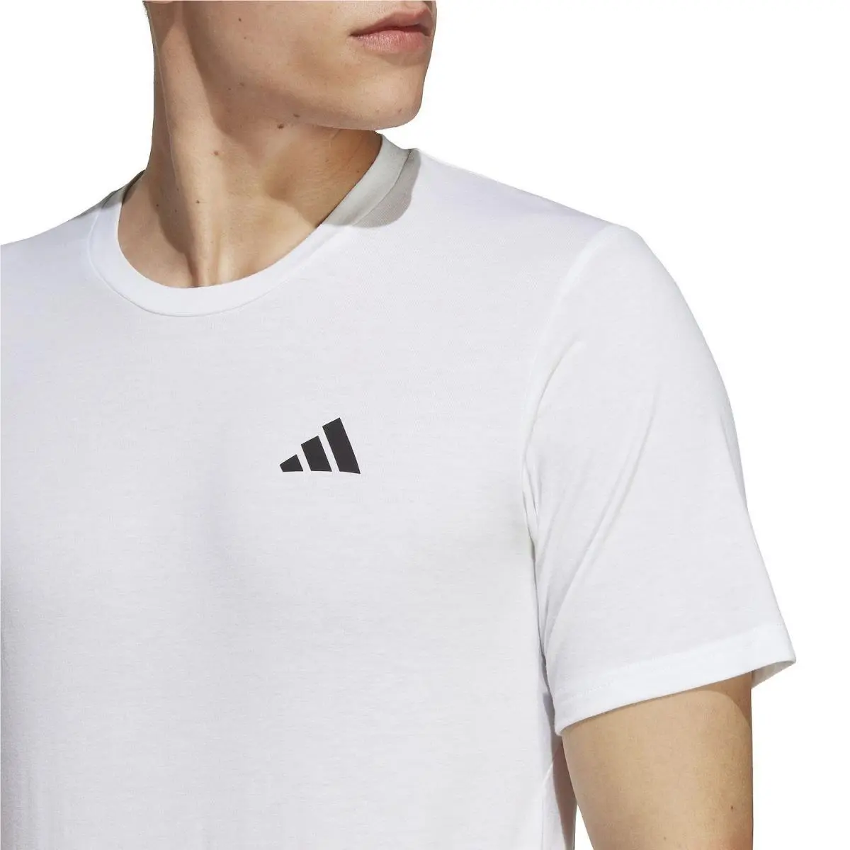 Adidas clothing - Adidas Tiro 24 - Tiro - Black/White 2