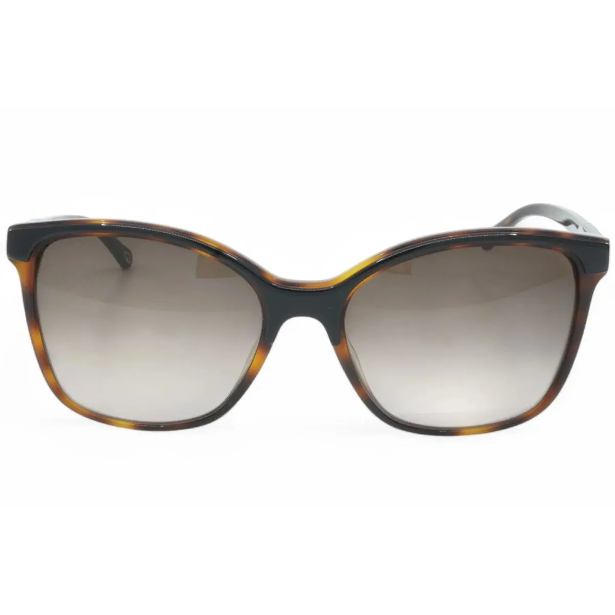Chloe CE 734S 004 Havana 59 19 145