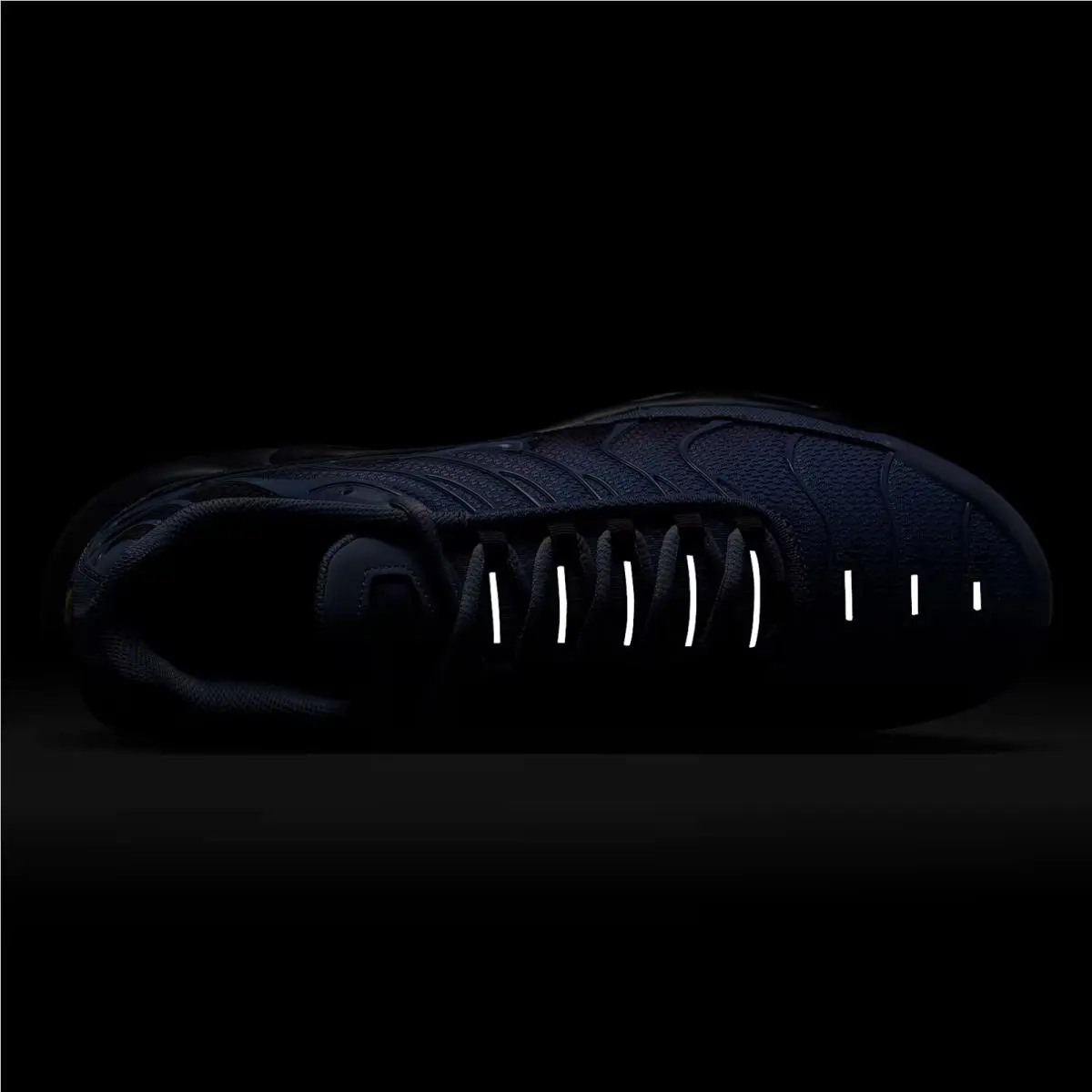 Nike shoes - Nike Air Max Plus - Air Max Plus - DM0032-404 - World Indigo/Cave Purple/Black/World Indigo 7