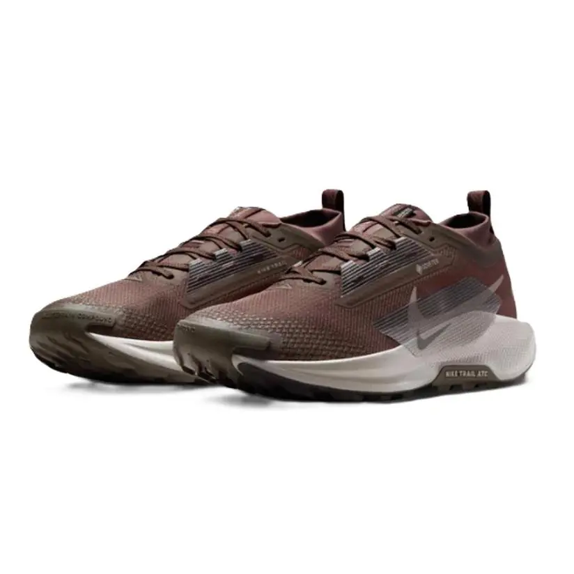 Nike Men`s Pegasus Trail 5 Gore-tex Trail Running Ironstone/brown FQ0908-012 j - Ironstone/Velvet Brown/Cave Stone/College Grey