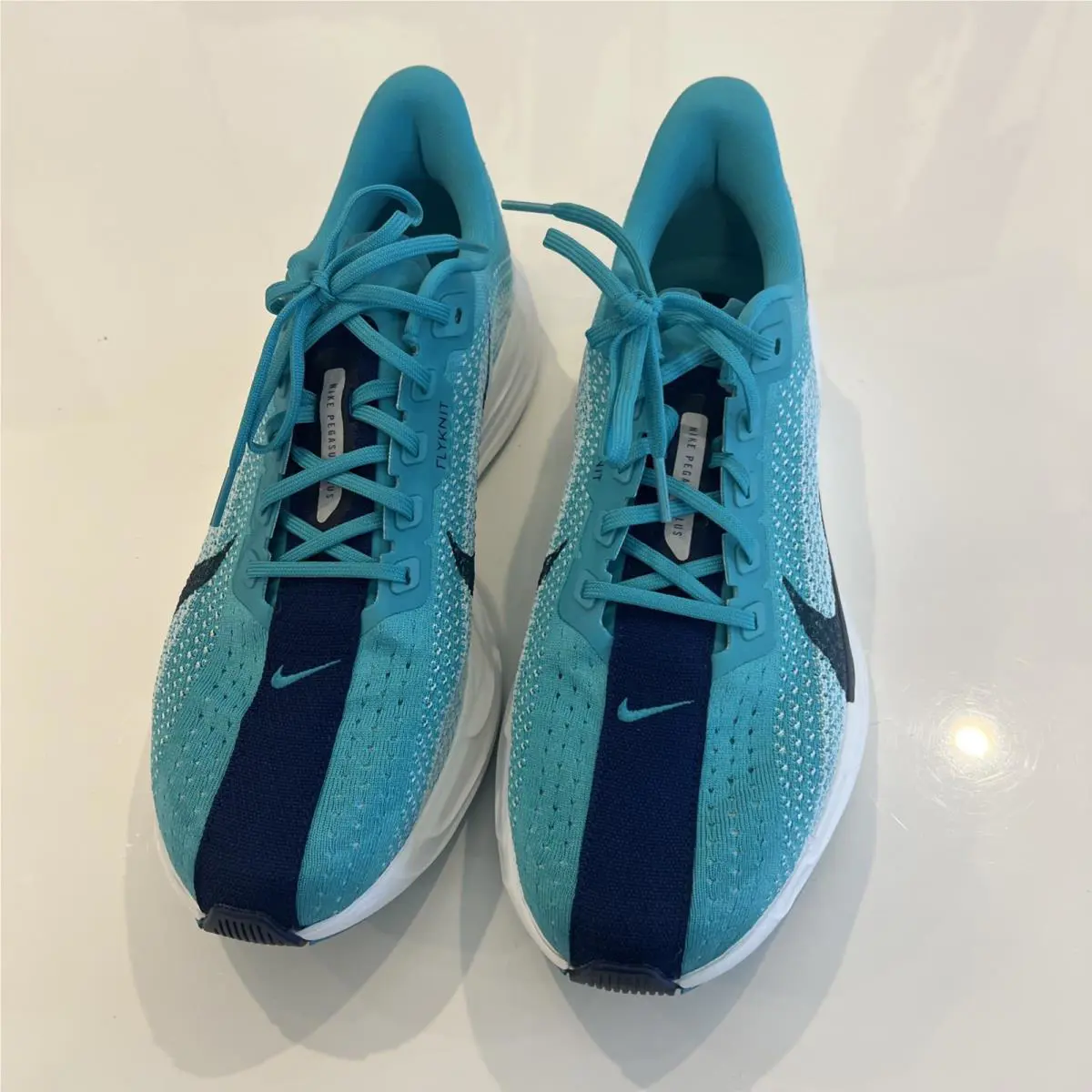 Nike shoes - Nike Pegasus Plus - Pegasus Plus - FQ7262-301 - Multicolor 8