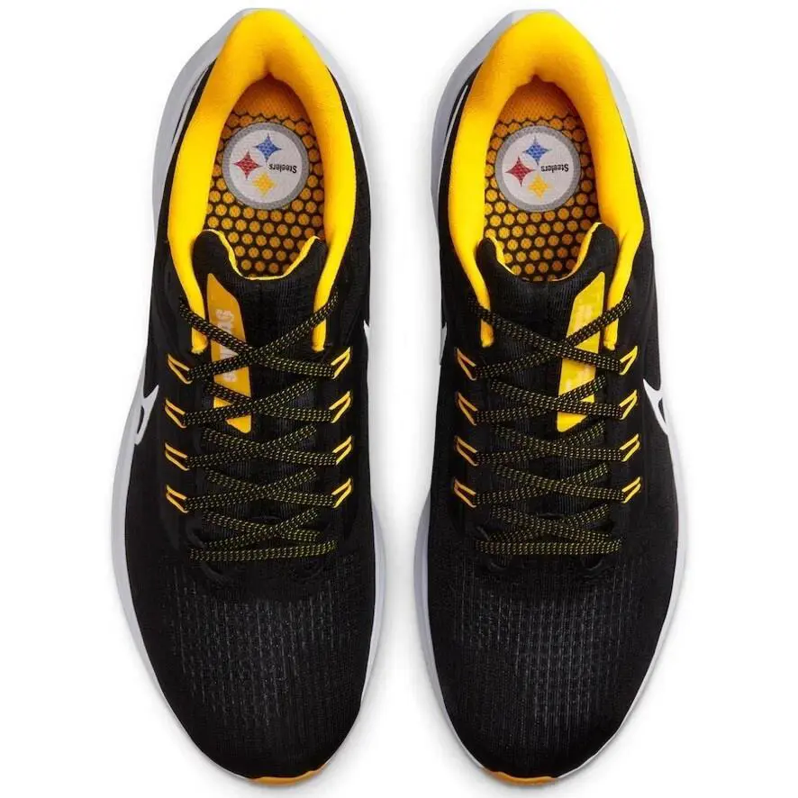 Nike shoes - Nike Pegasus 39 - Pegasus - DR2059-001 - Black 1
