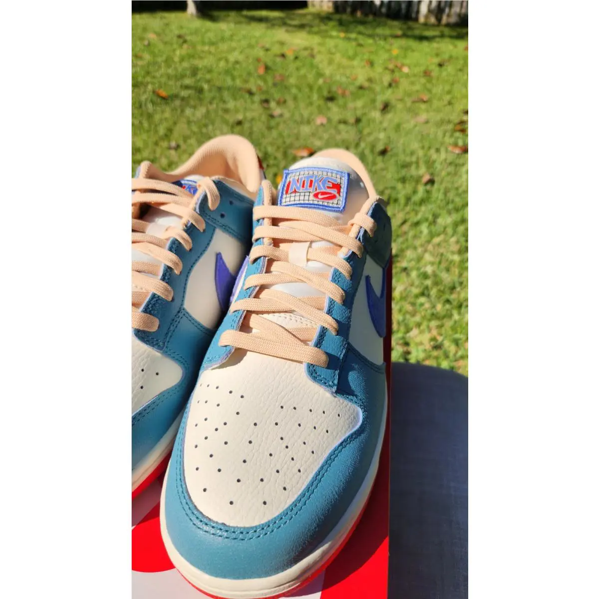 Nike shoes - Nike Dunk - Dunk - HJ9112-110 - Blue 10