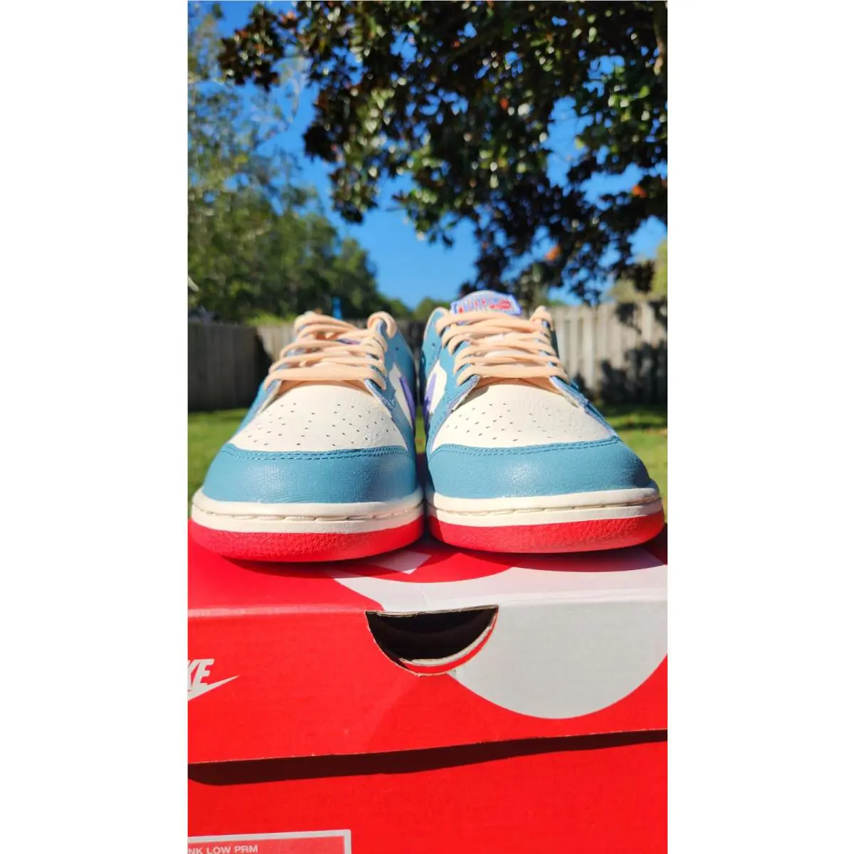 Nike shoes - Nike Dunk - Dunk - HJ9112-110 - Blue 12