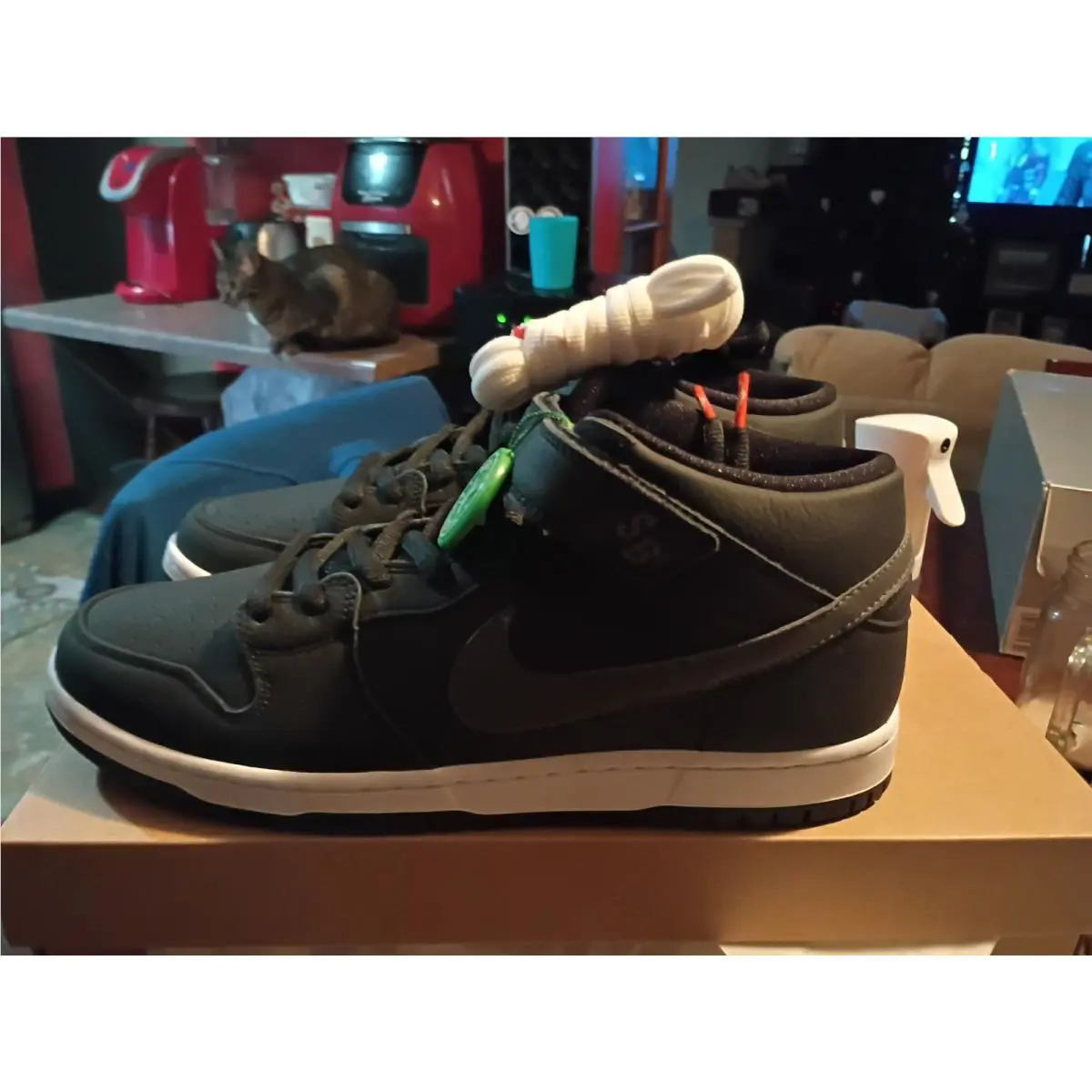 Nike shoes - Nike SB Dunk - Dunk - CV4283-001 - Gray 1