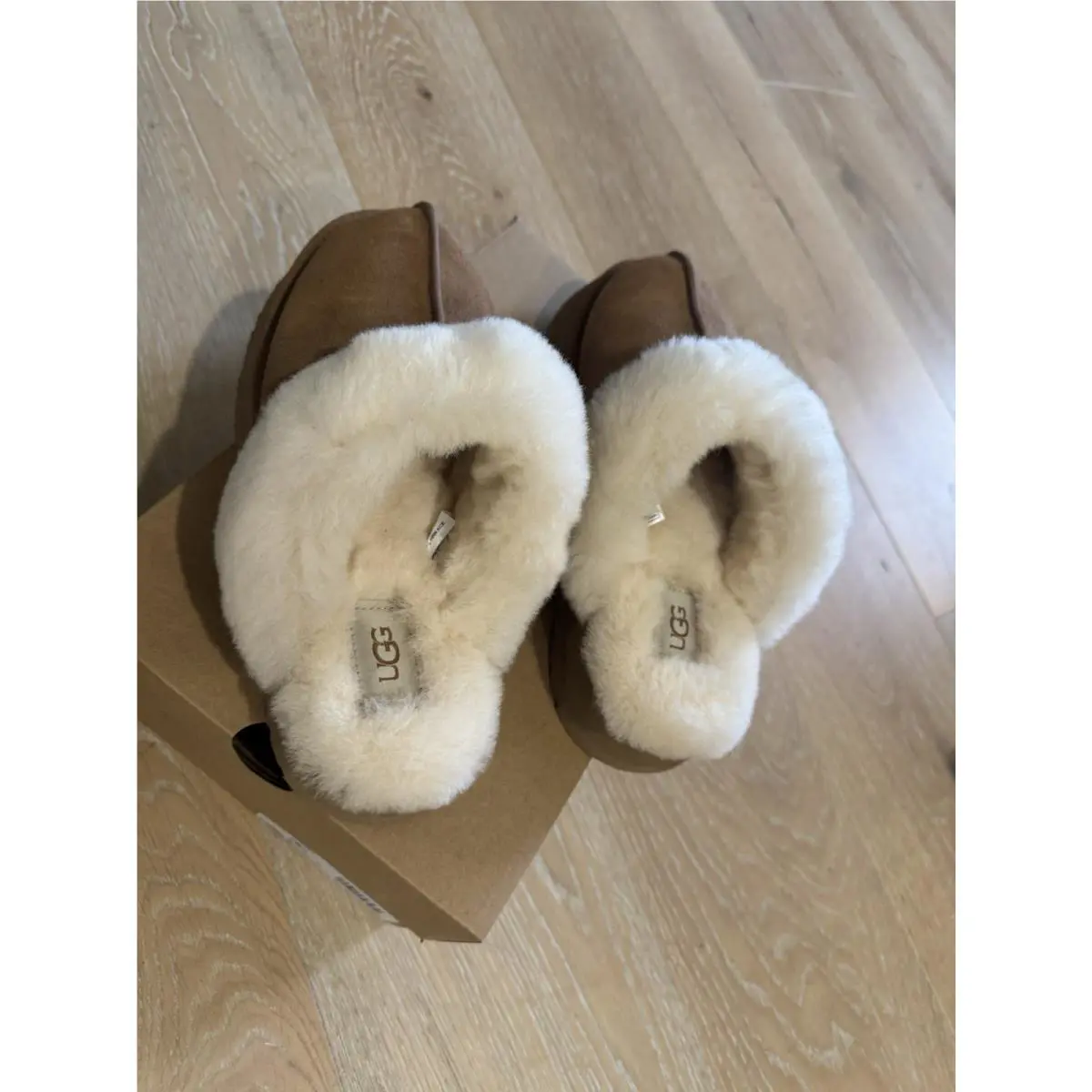 UGG shoes - Ugg Disquette - Disquette - Brown 0
