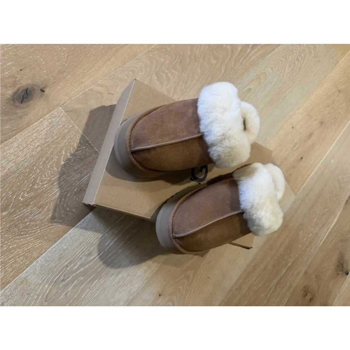 UGG shoes - Ugg Disquette - Disquette - Brown 2