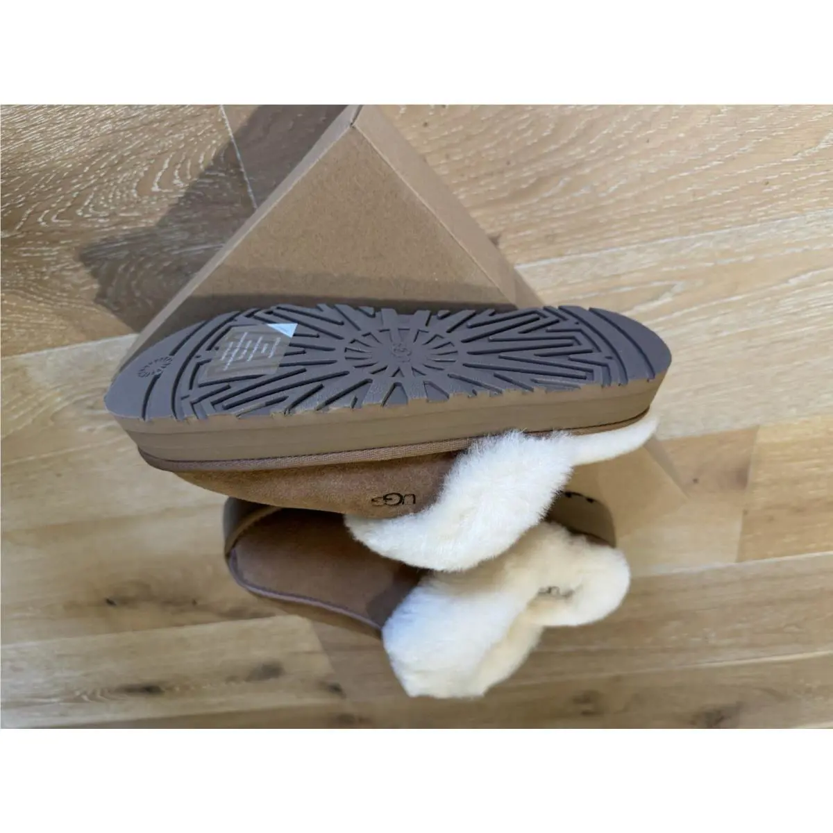 UGG shoes - Ugg Disquette - Disquette - Brown 3