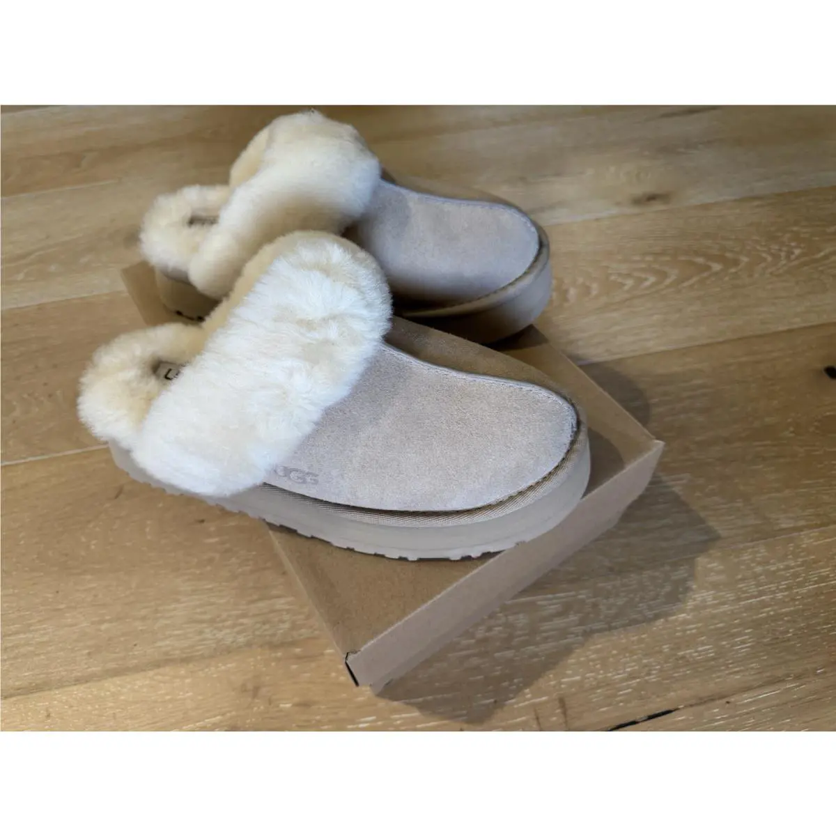 UGG shoes - Ugg Disquette - Disquette - Beige 1