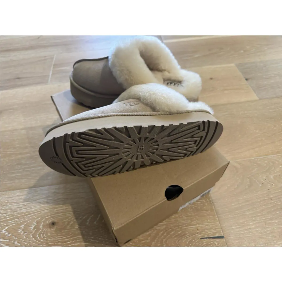 UGG shoes - Ugg Disquette - Disquette - Beige 3