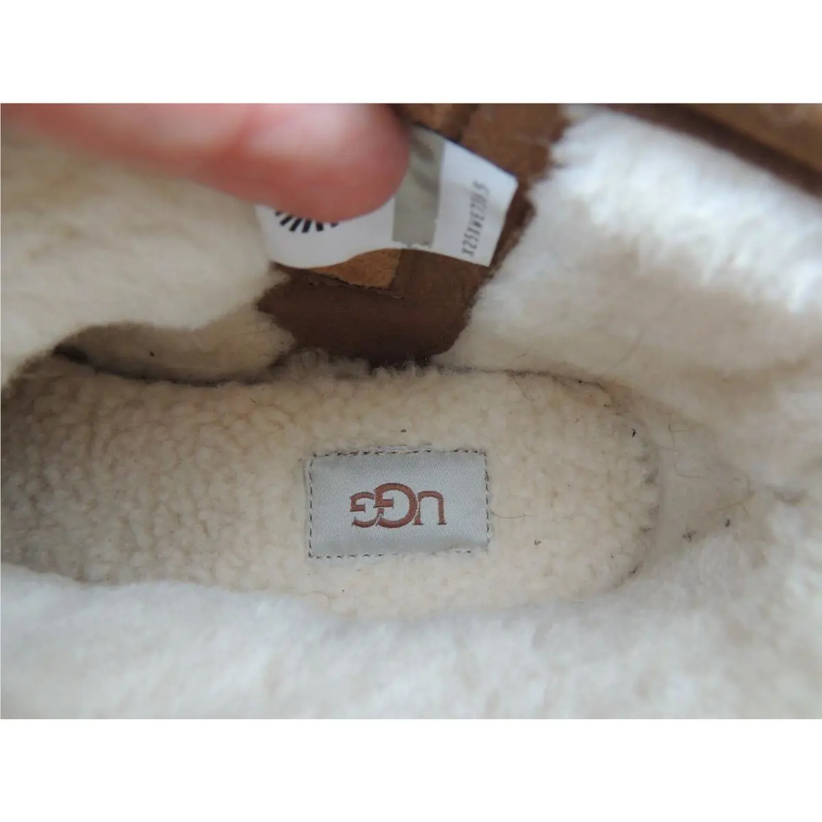 UGG shoes - UGG Fluff punk ankle boot - Chestnut Bomber (UPC: 192410400485) 5