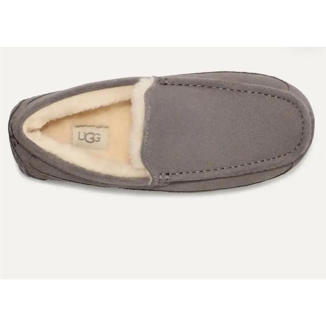 UGG shoes - UGG Ascot - Ascot - Gray (UPC: 0195719719289) 3