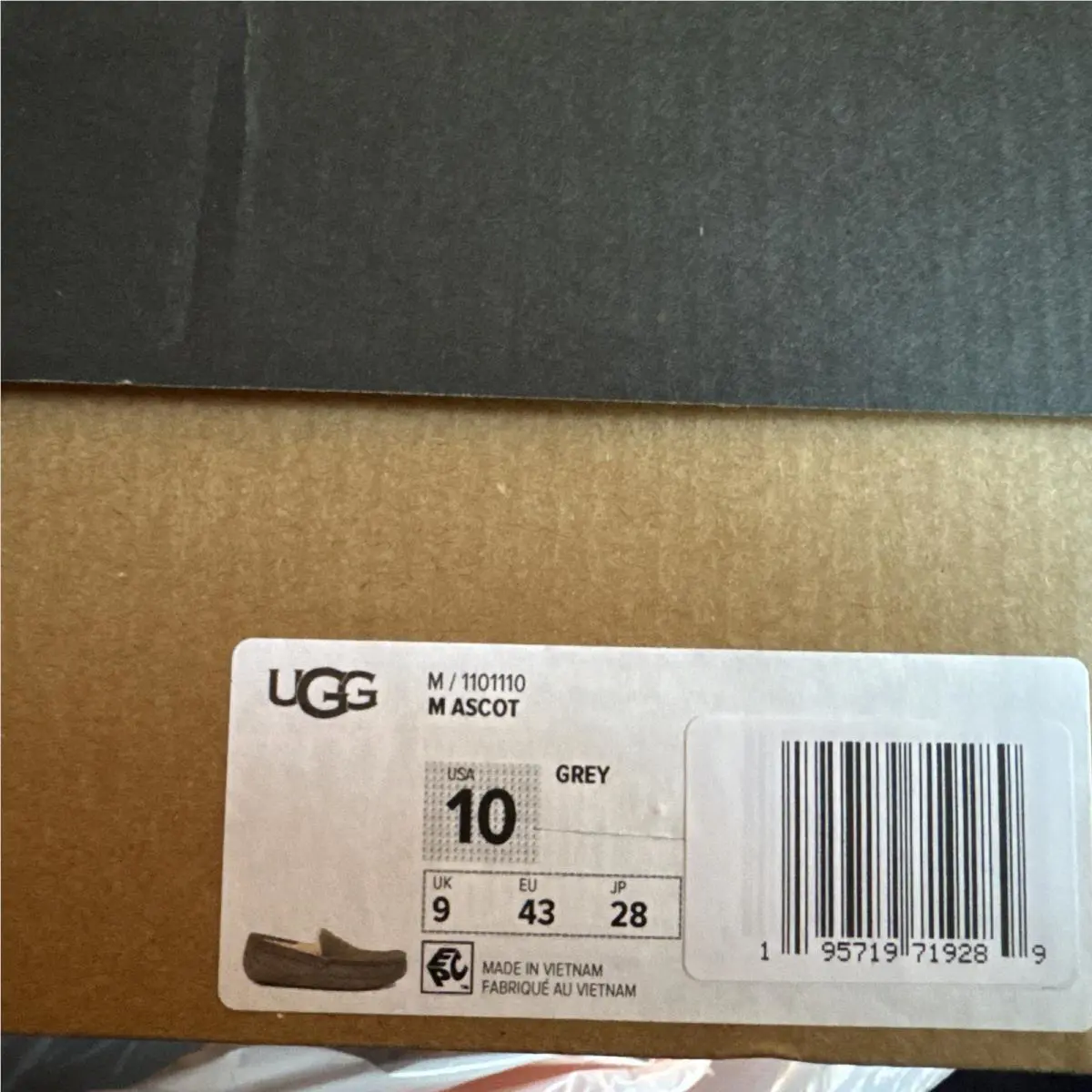 UGG shoes - UGG Ascot - Ascot - Gray (UPC: 0195719719289) 9