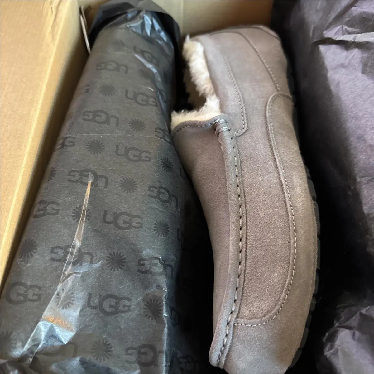 UGG shoes - UGG Ascot - Ascot - Gray (UPC: 0195719719289) 5