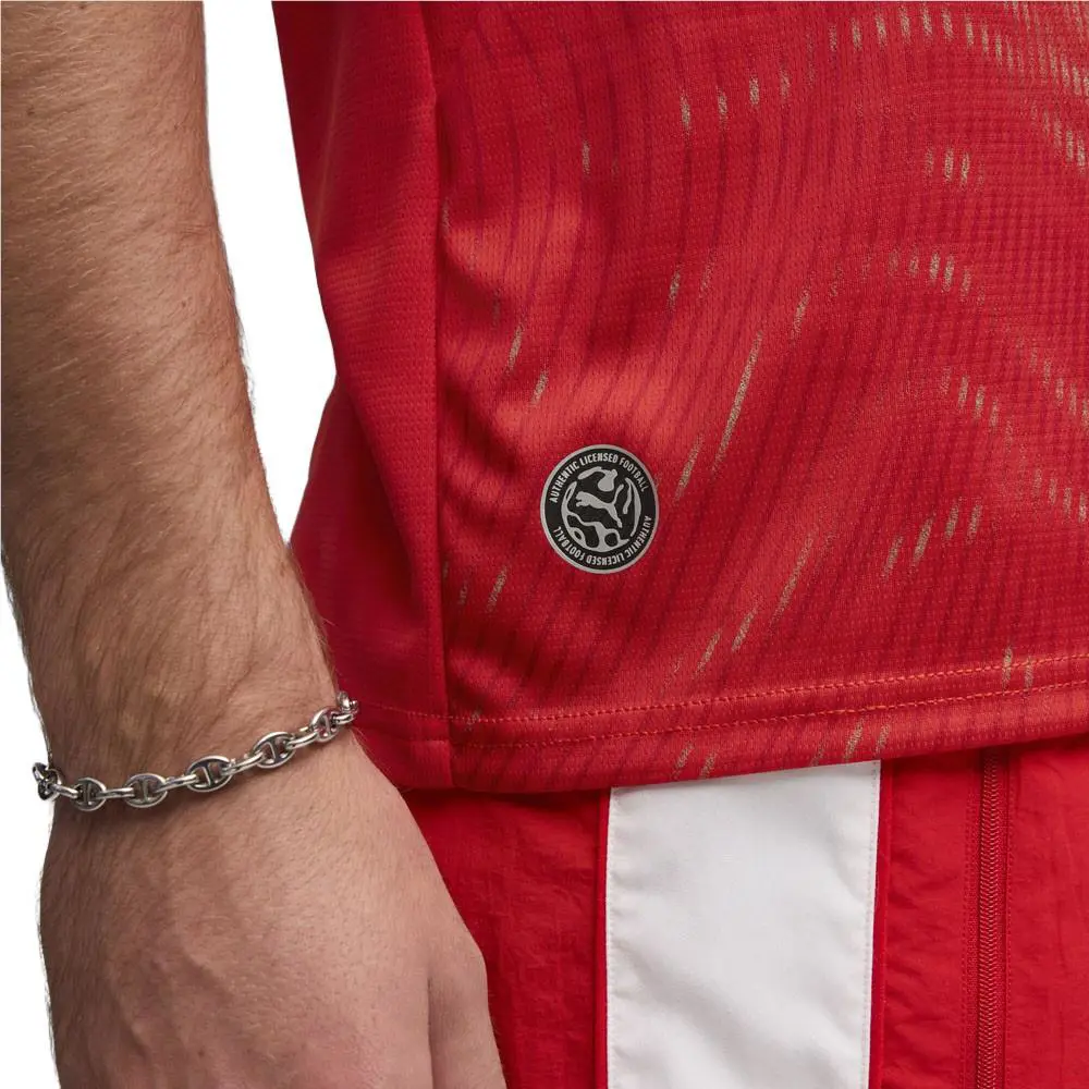 Puma clothing - PUMA Sfv Crew Neck Short Sleeve Home Soccer Jersey Replica - 78321801 - Red 12