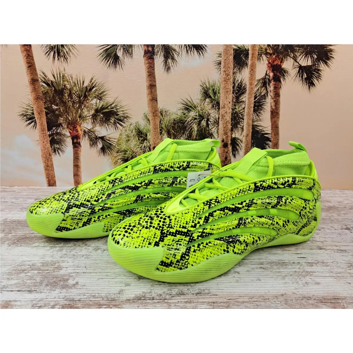 Adidas shoes - Adidas Harden 9 - Harden - JR8289 - Green 2