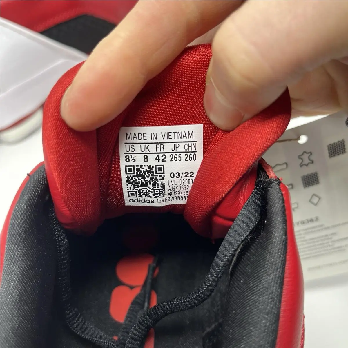 Adidas shoes - adidas Gil Zero - Gil Zero - GY0362 - Red 7