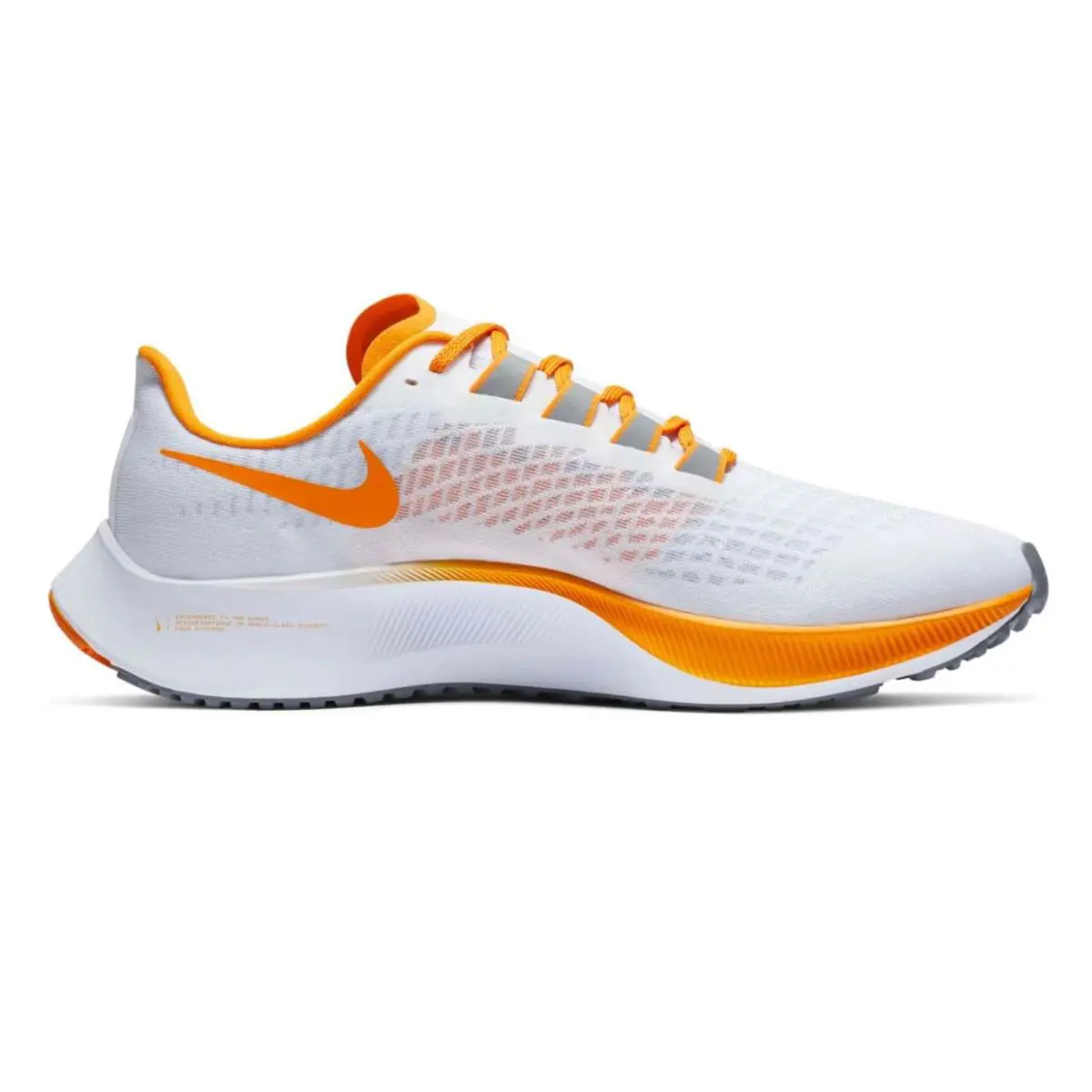 Nike shoes - Nike Air Zoom Pegasus - Air Zoom Pegasus - CZ5393-100 - White (UPC: 194496350968) 1