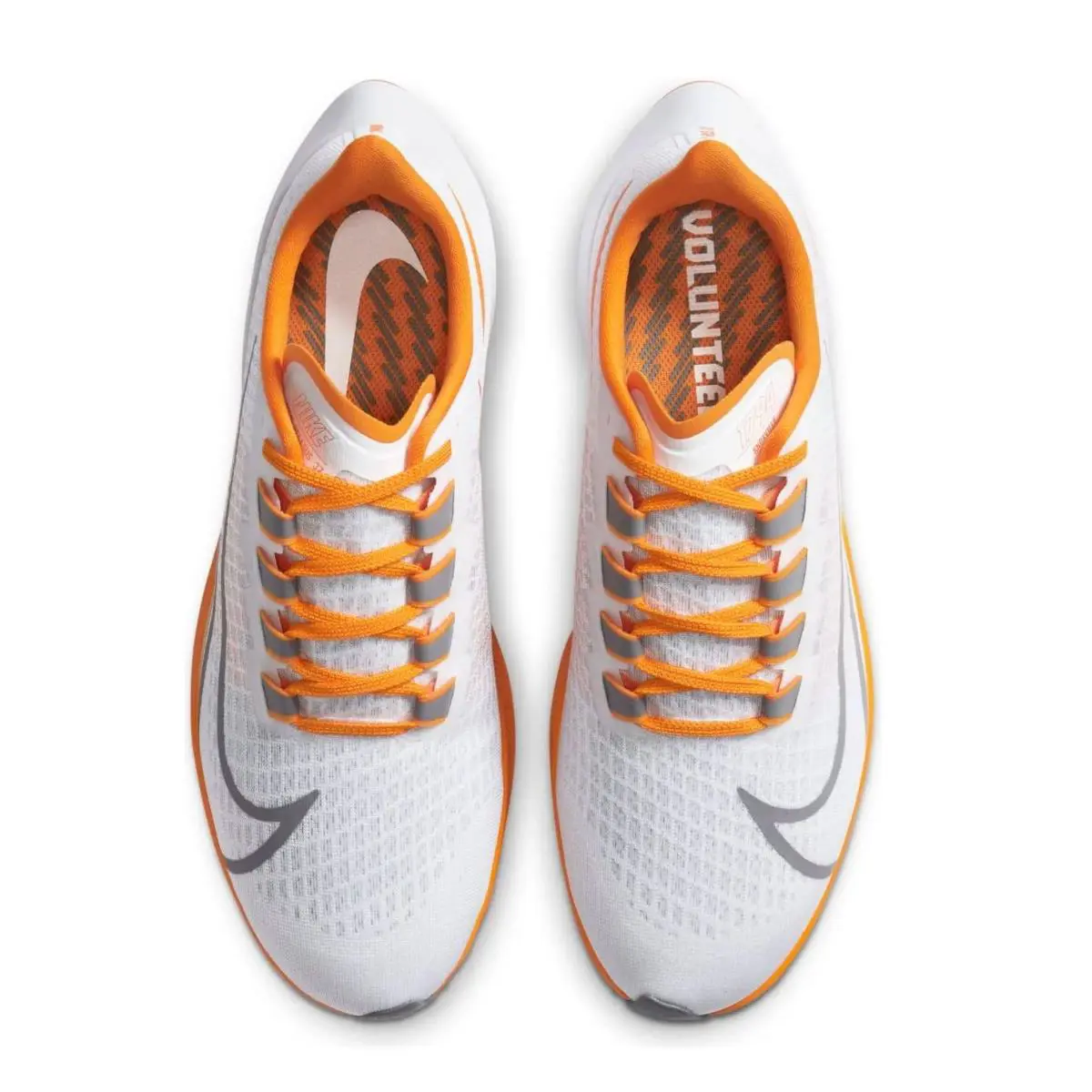 Nike shoes - Nike Air Zoom Pegasus - Air Zoom Pegasus - CZ5393-100 - White (UPC: 194496350968) 2