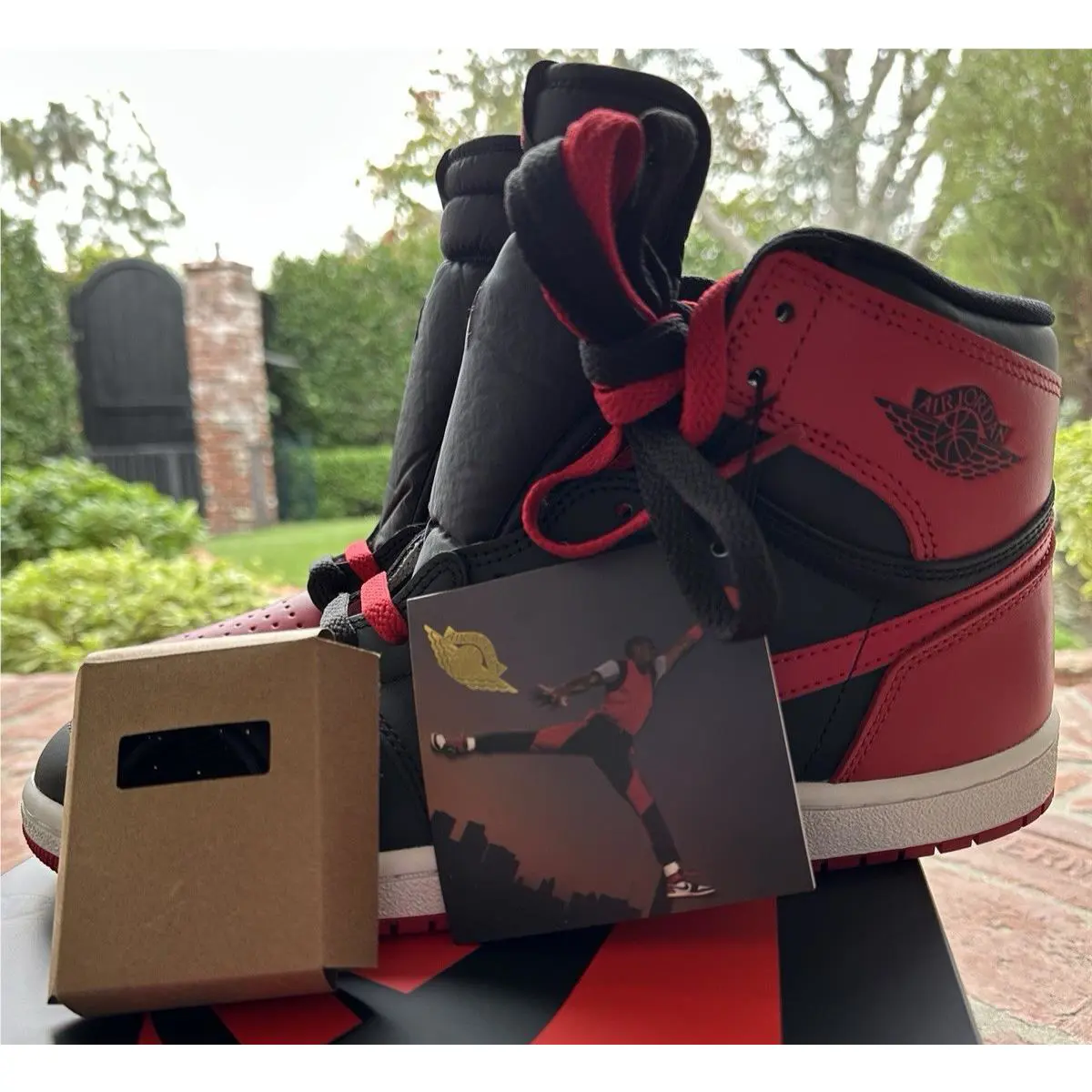 Nike shoes - Air Jordan 1 - Air - IQ6083 067 - Black 4