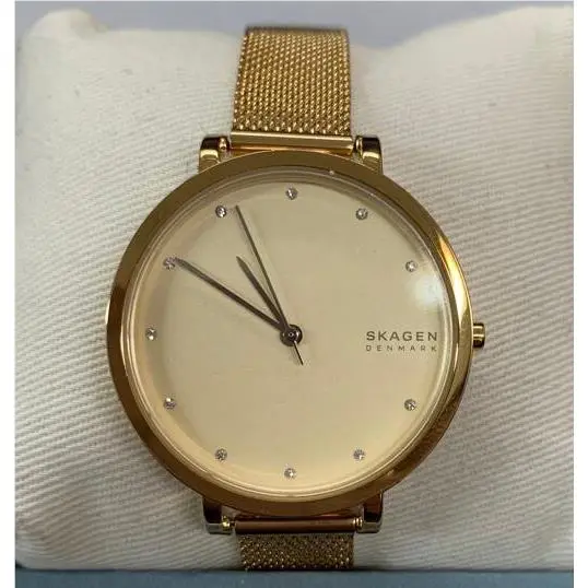 Skagen Hagen Gold Dial Gold Tone Mesh Bracelet Women`s Watch SKW7206