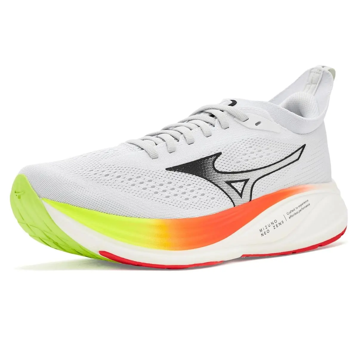 Mizuno shoes - Black/White 13