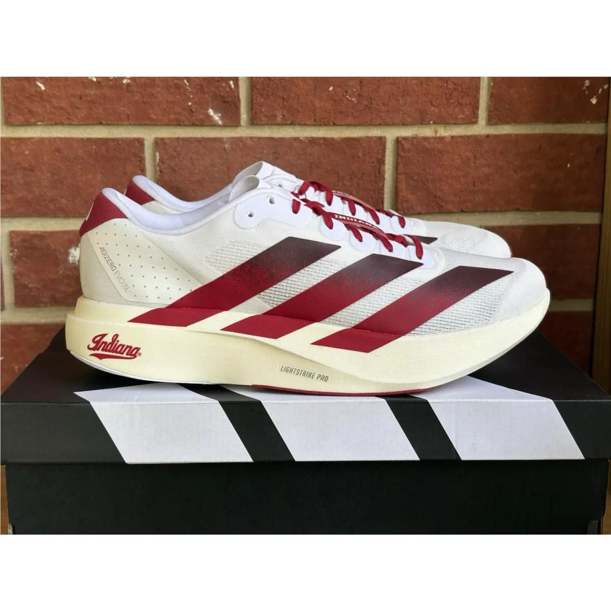 Adidas Adizero Evo SL Indiana Hoosiers Red Size 12 Mens Sneakers Shoes