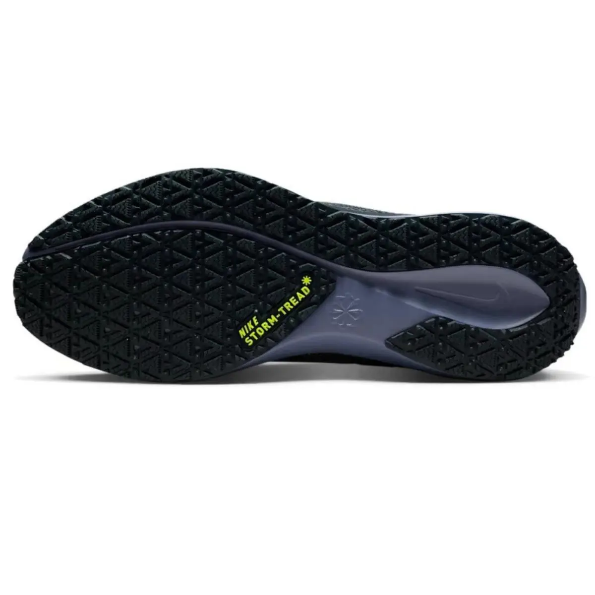 Nike shoes - Nike Pegasus 41 GORE-TEX - Pegasus - Blue, Manufacturer: Cannon/Obsidian/Seaweed/Volt 6